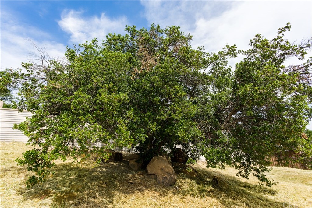 9822 Kentland Avenue Chatsworth, CA 91311 - Photo 3 of 8