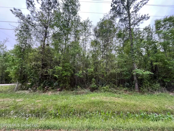 $12,500 | Lot 1 Cedar Drive, Pearlington, MS 39572