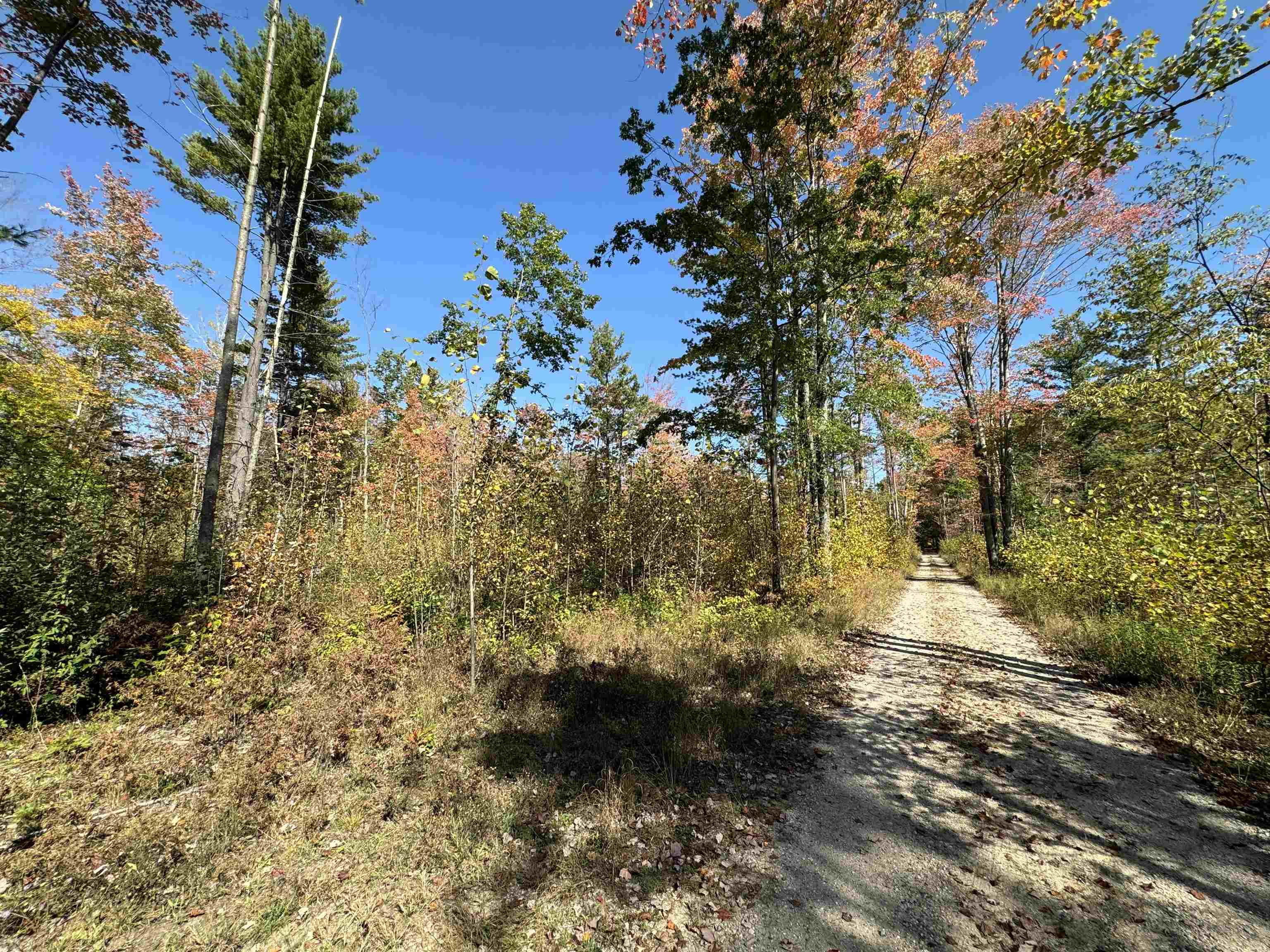 0 Cranberry Lake Road Prescott, MI 48756 - Photo 11 of 17 Gallery Image 11