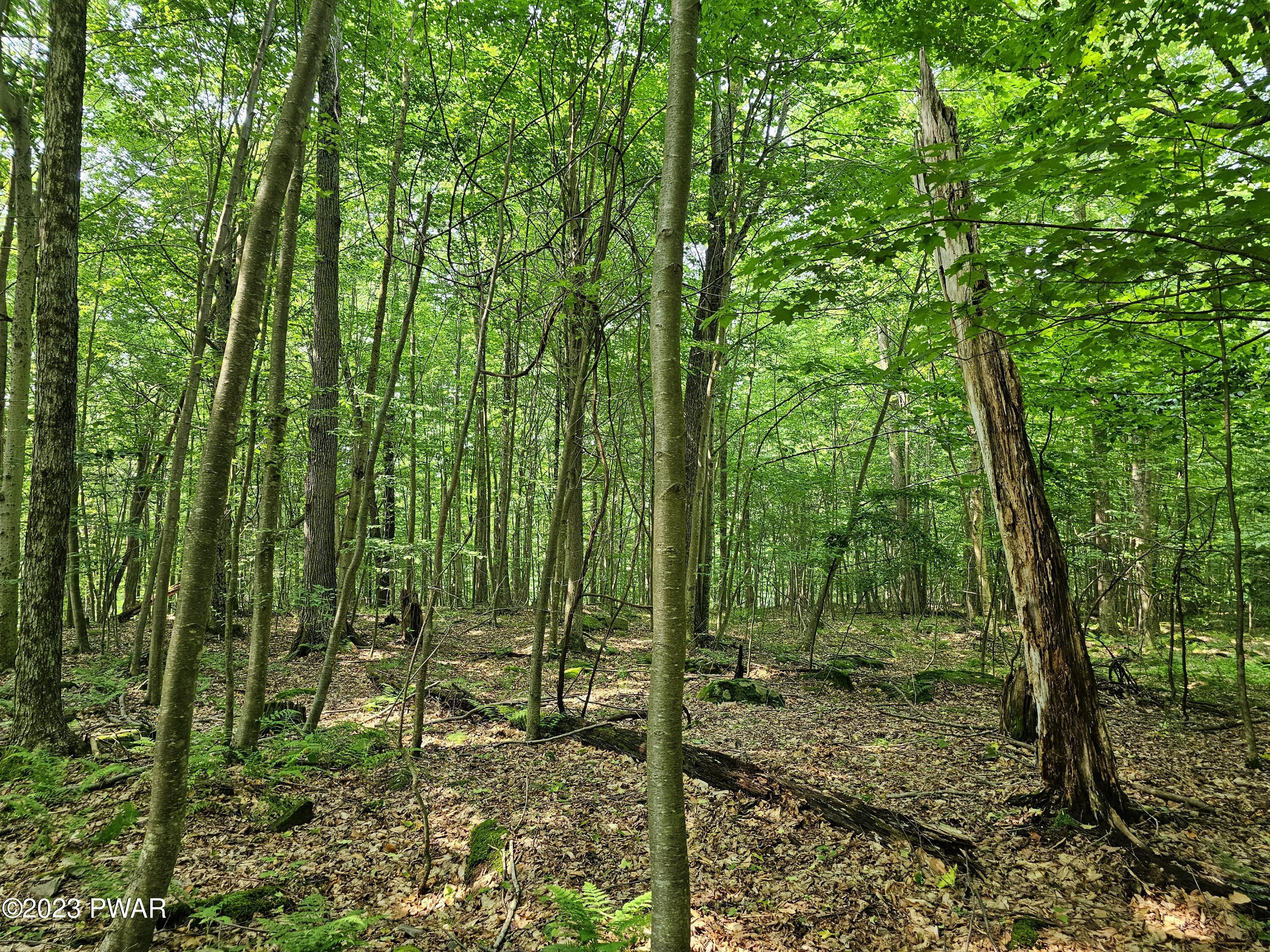 Lot 61 Rock Run Road Damascus, PA 18415 - Photo 3 of 56