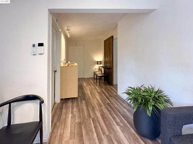 a view of a hallway with wooden floor and a potted plant