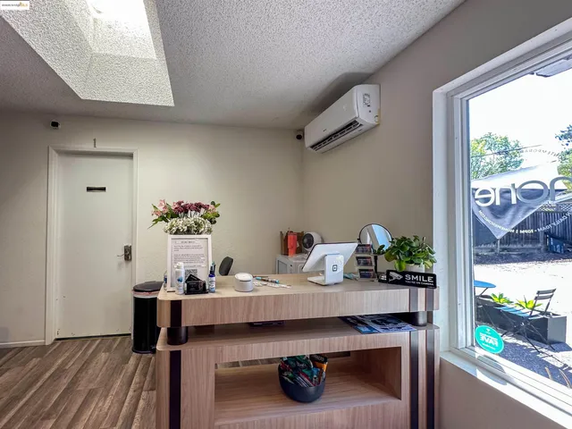 a room with furniture and a potted plant