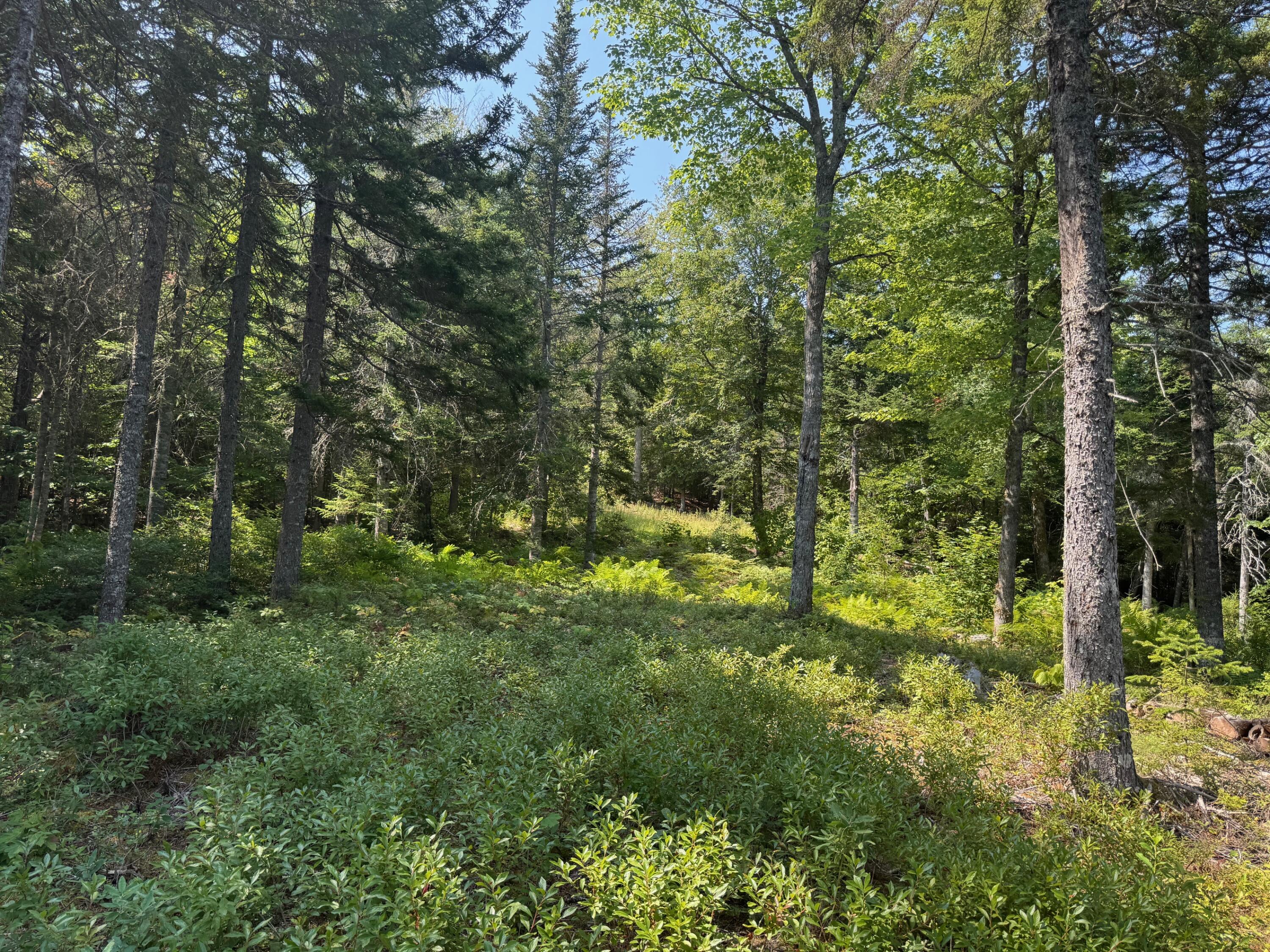 3 Steam Mill Road Robbinston, ME 04671 - Photo 11 of 14 IMG_6476