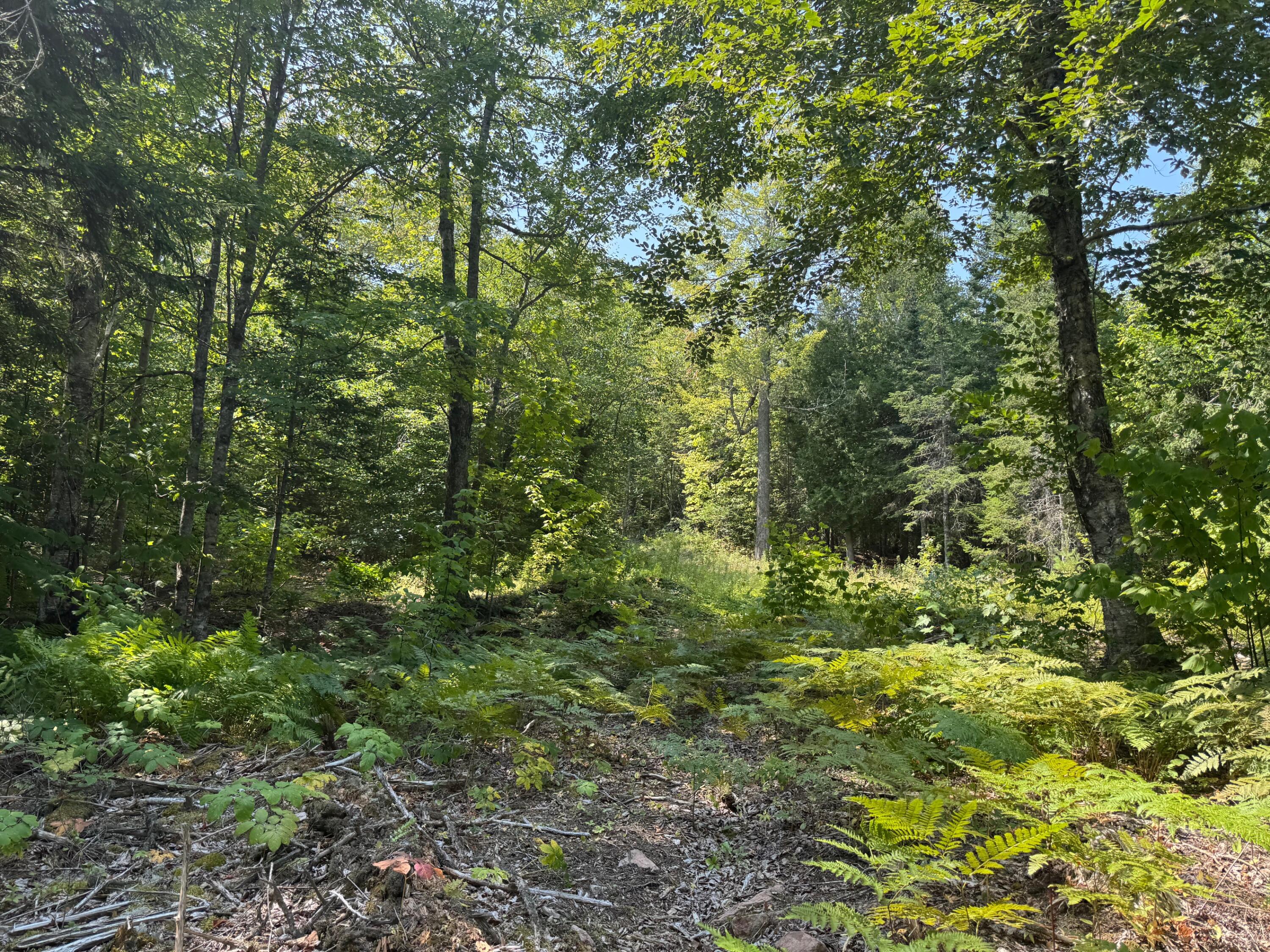 3 Steam Mill Road Robbinston, ME 04671 - Photo 12 of 14 IMG_6477