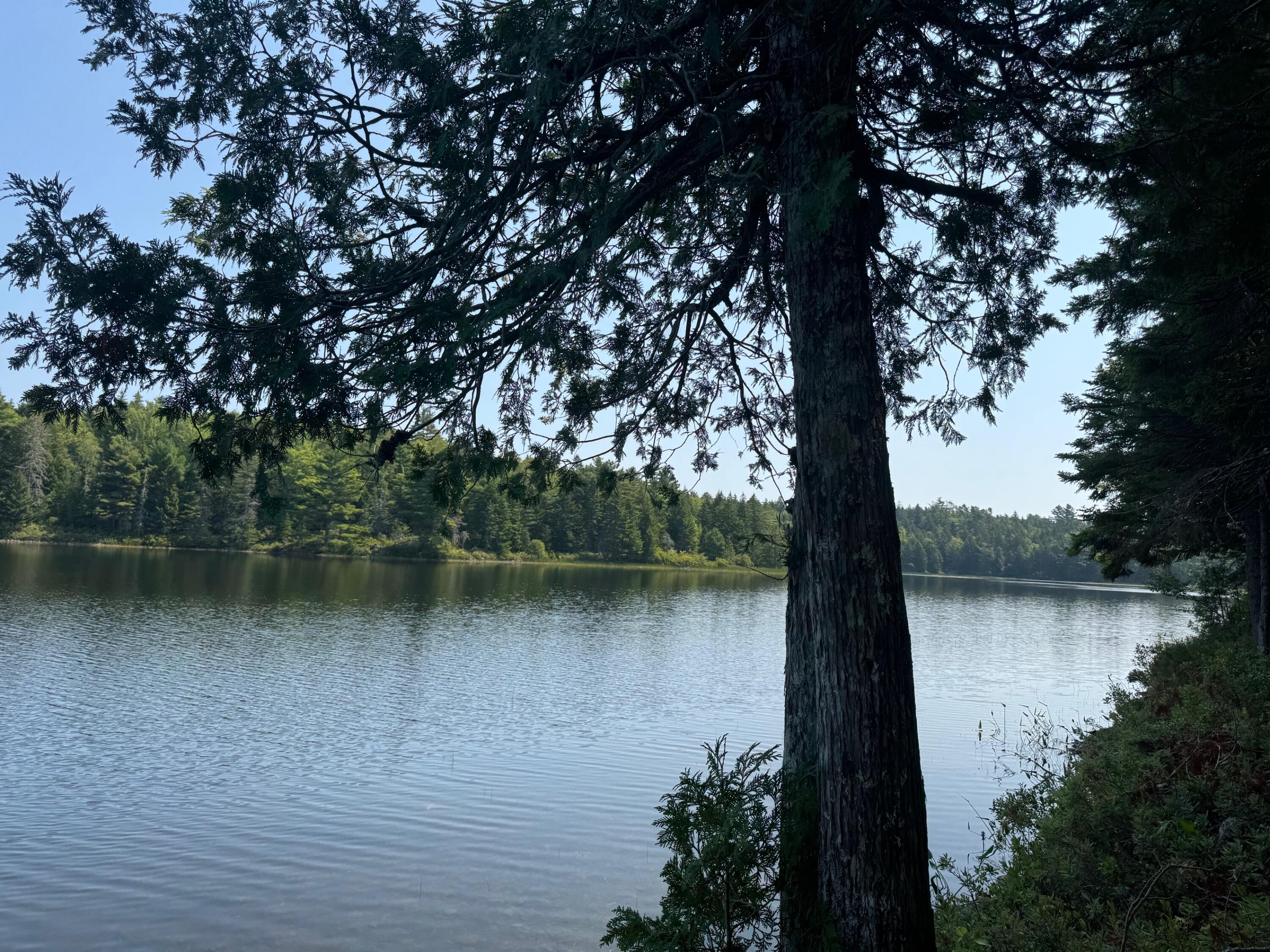 3 Steam Mill Road Robbinston, ME 04671 - Photo 4 of 14 IMG_6475