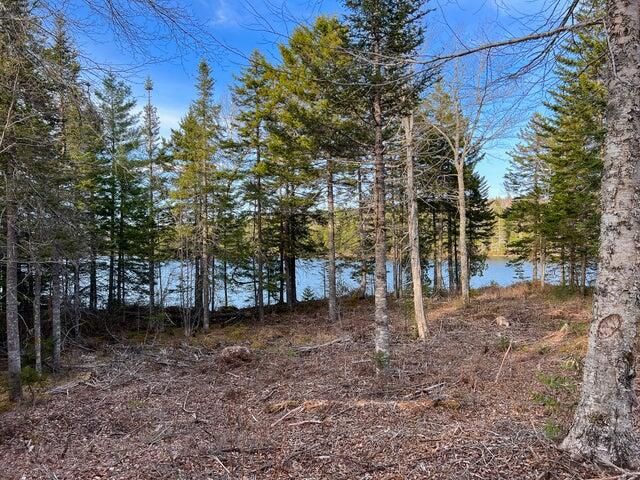 3 Steam Mill Road Robbinston, ME 04671 - Photo 6 of 14 pic 3