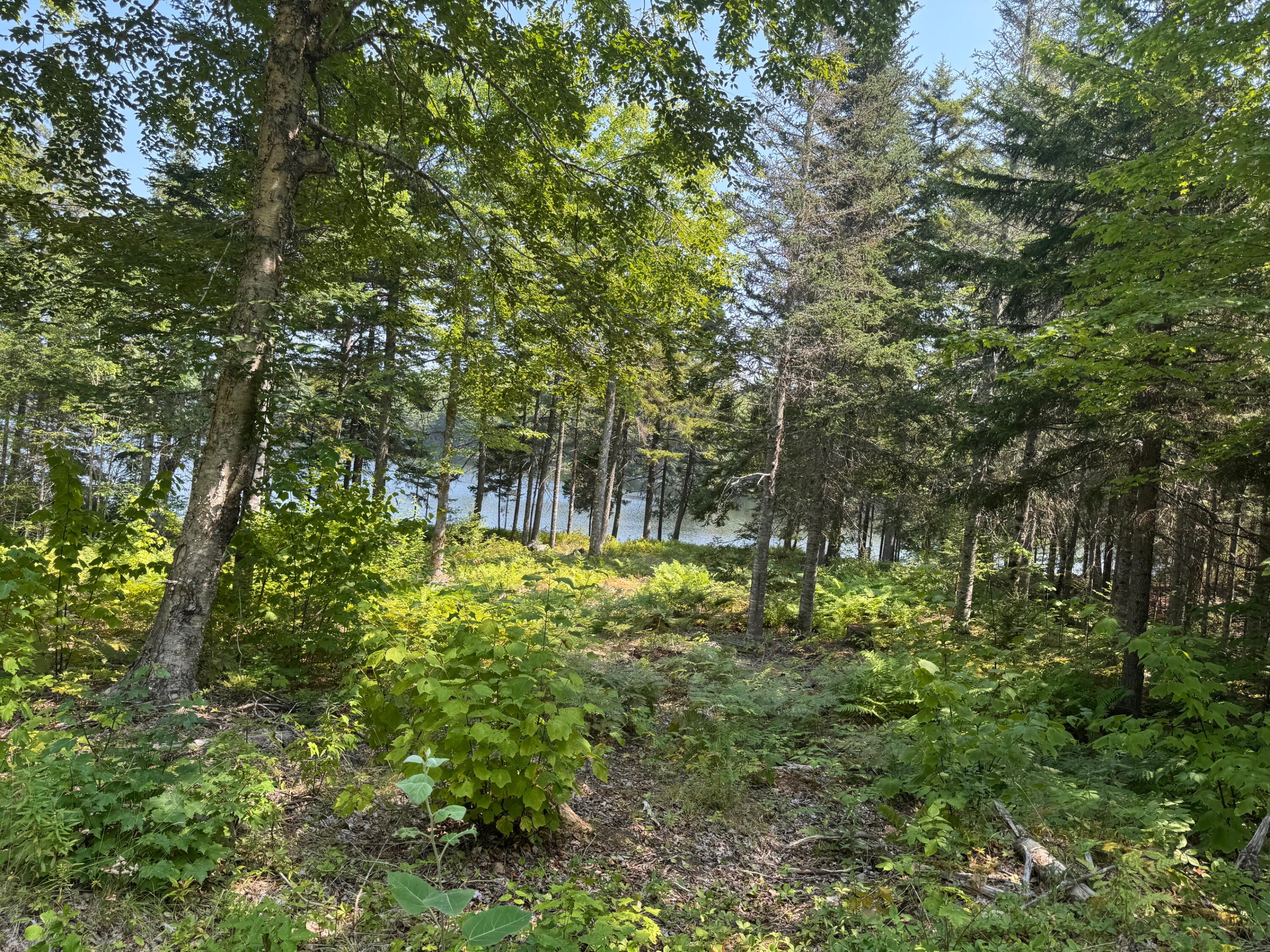 3 Steam Mill Road Robbinston, ME 04671 - Photo 7 of 14 IMG_6472