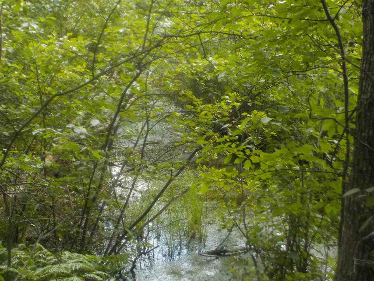 0 South Roberts Road Grayling, MI 49738 - Photo 6 of 6 Gallery Image 6