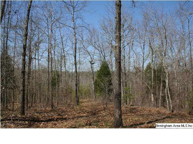 0 Silley Dean Road Northwest, Unit 277 AC Pinson, AL 35126 - Photo 13 of 19