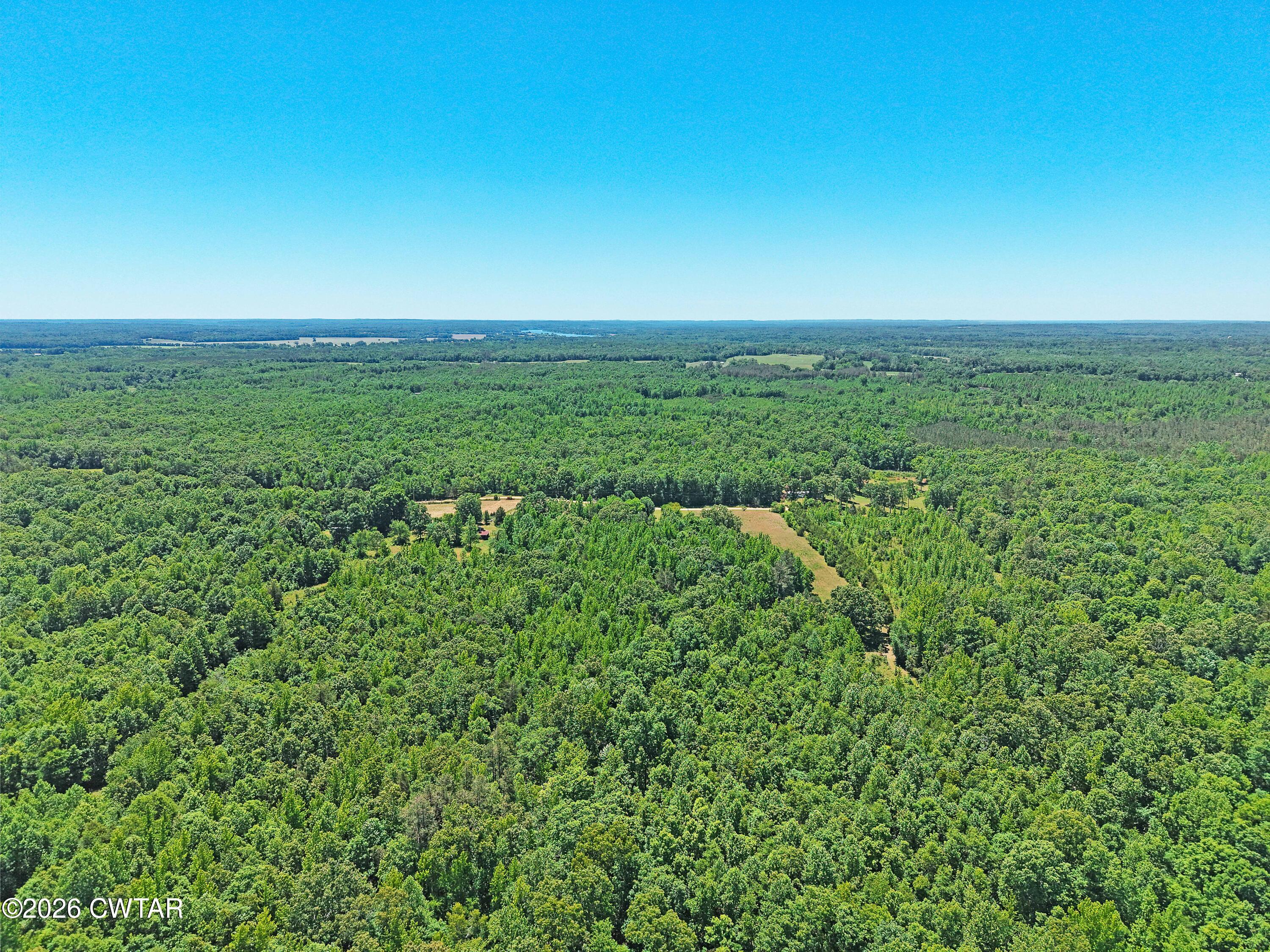 935 Parkers Camp Road Saltillo, TN 38370 - Photo 25 of 29 a view of a green field with lots of bushes