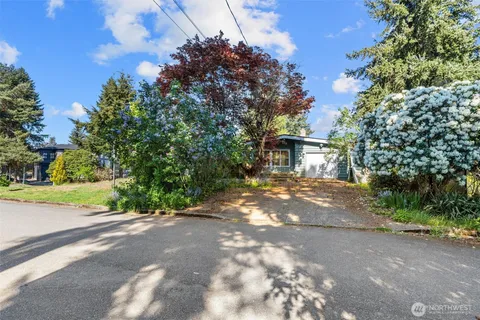 a view of a yard with plants and trees