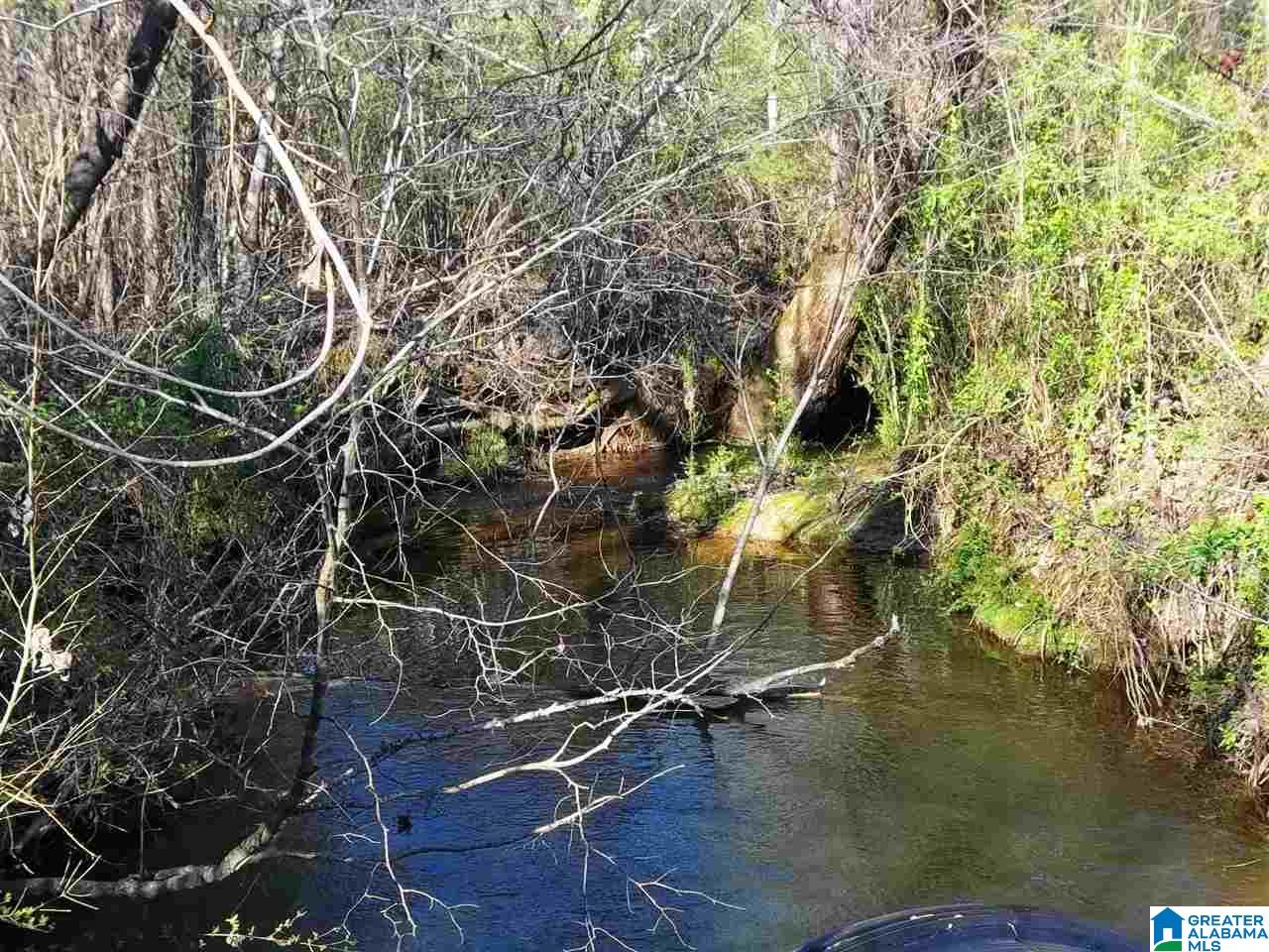 Big Springs Road, Unit 28 Ashland, AL 36251 - Photo 1 of 8
