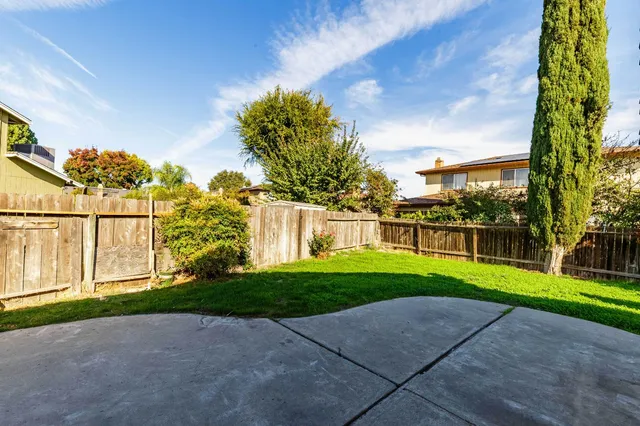a view of a backyard with plants and large trees
