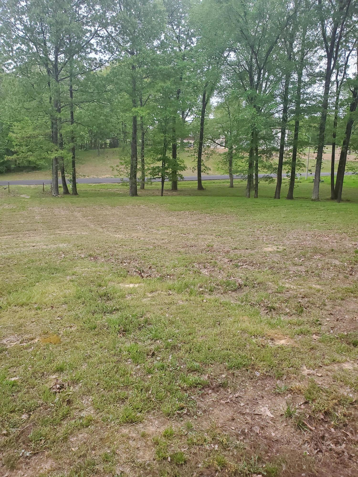 0 Garden Road Southaven, MS 38672 - Photo 4 of 4 20200411_185019
