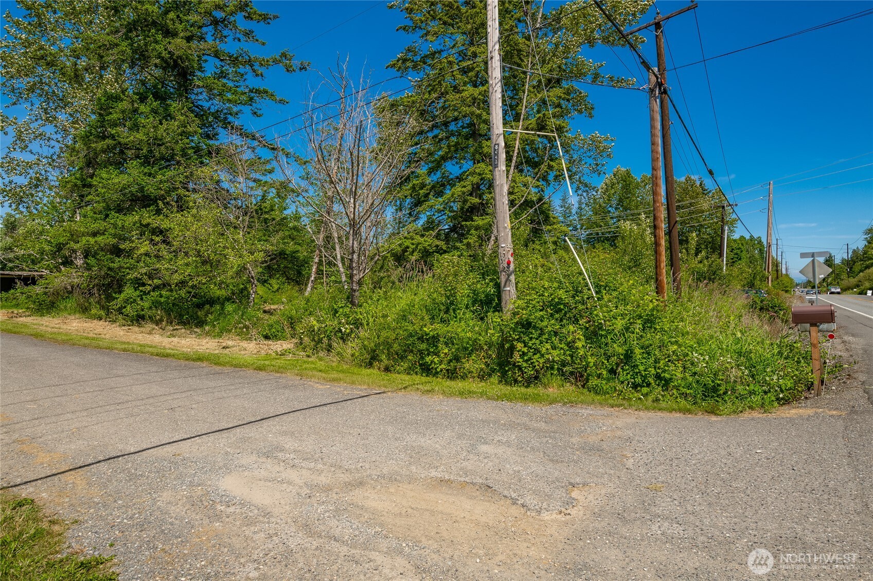 0 Birch Bay Lynden Road Blaine, WA 98230 - Photo 12 of 22 a view of a plants and basketball court