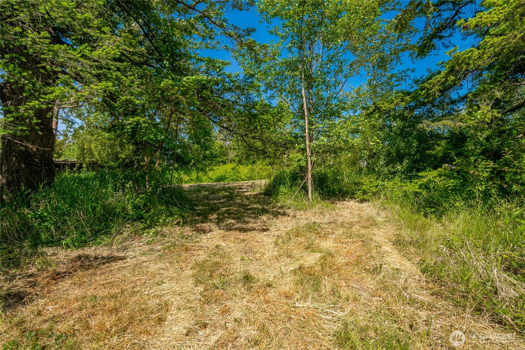 0 Birch Bay Lynden Road Blaine, WA 98230 - Photo 14 of 22 a backyard of a house with plants and large trees