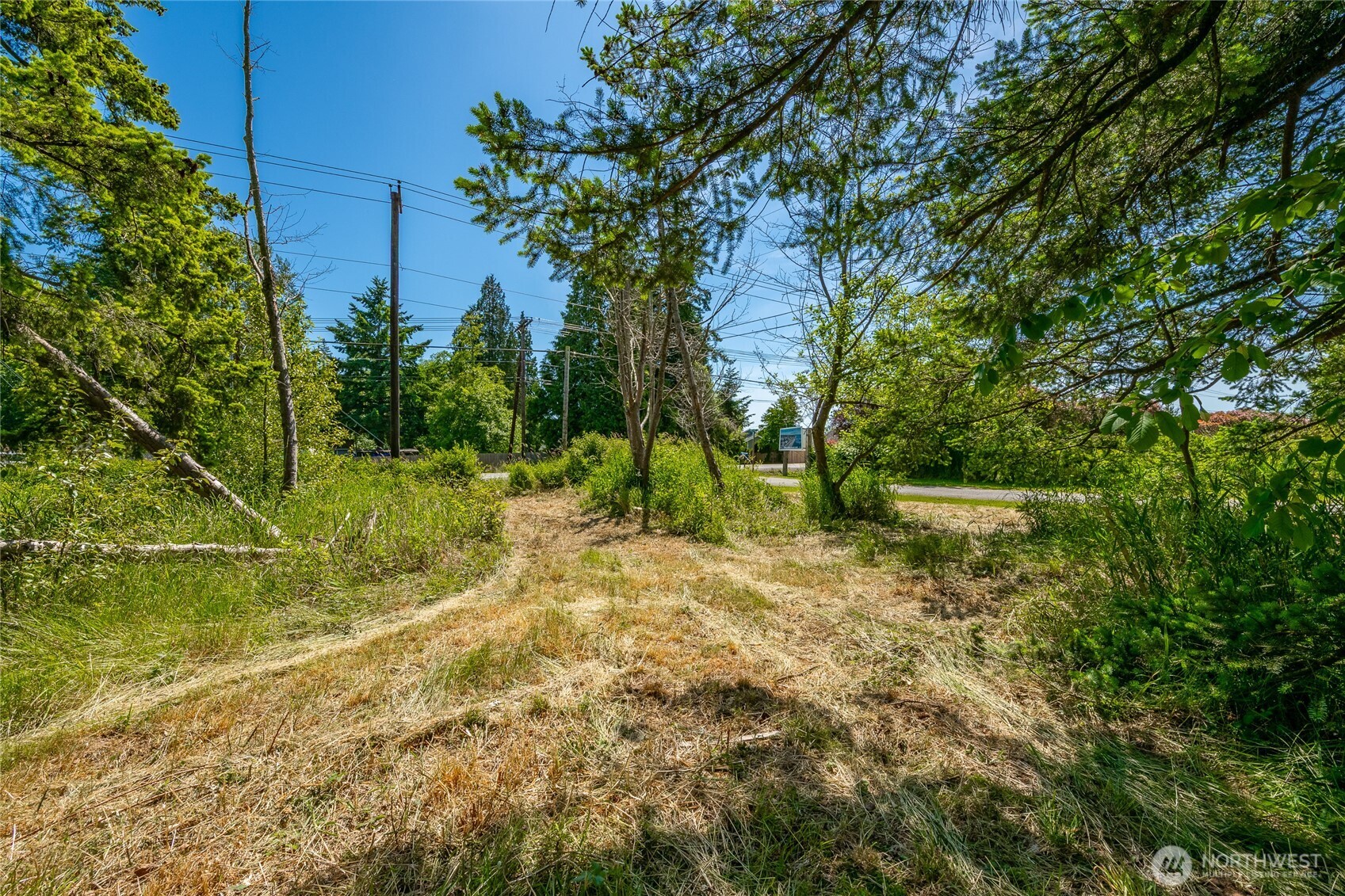 0 Birch Bay Lynden Road Blaine, WA 98230 - Photo 15 of 22 a view of backyard with green space