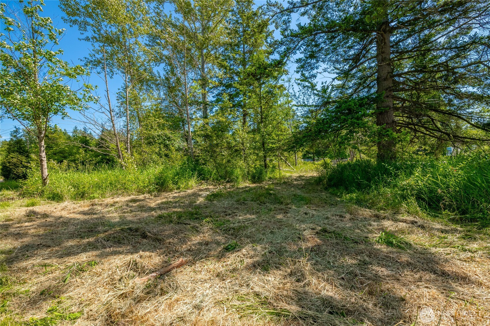 0 Birch Bay Lynden Road Blaine, WA 98230 - Photo 16 of 22