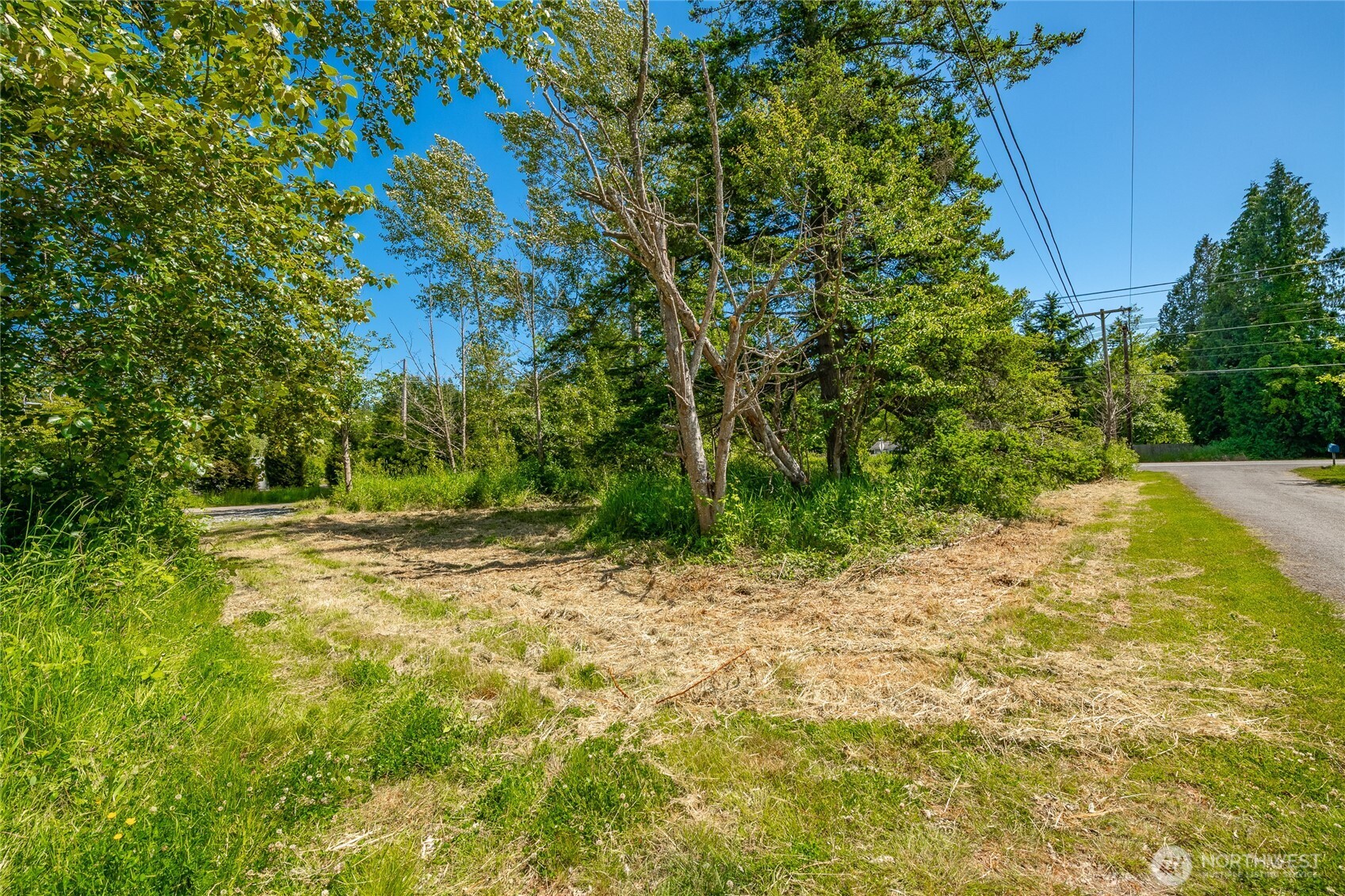 0 Birch Bay Lynden Road Blaine, WA 98230 - Photo 17 of 22 a view of a yard with plants and trees