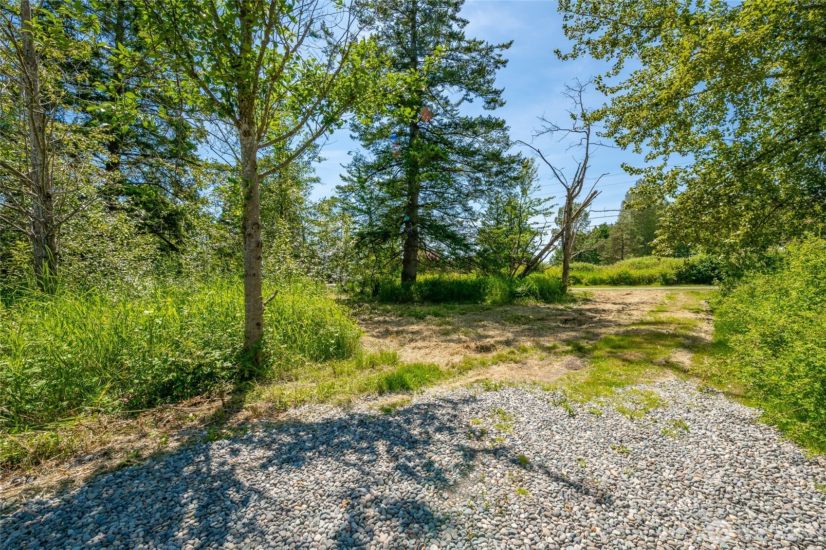 0 Birch Bay Lynden Road Blaine, WA 98230 - Photo 18 of 22 a view of a yard with plants and large trees