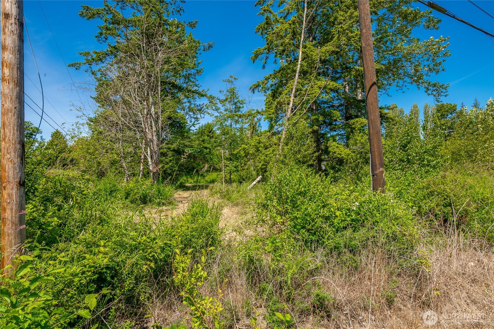 0 Birch Bay Lynden Road Blaine, WA 98230 - Photo 10 of 22 a view of a garden
