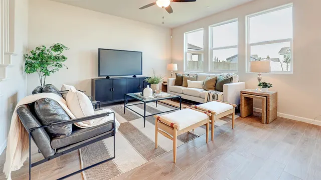 a living room with furniture and a potted plant
