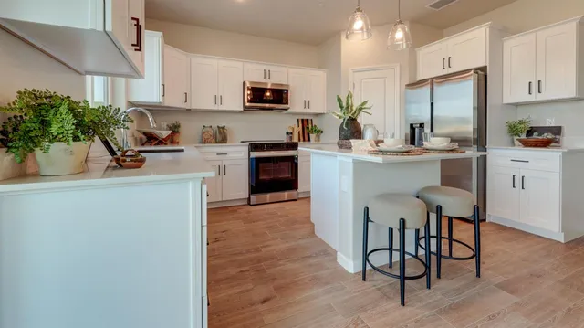 a kitchen with a sink cabinets stainless steel appliances and a potted plant