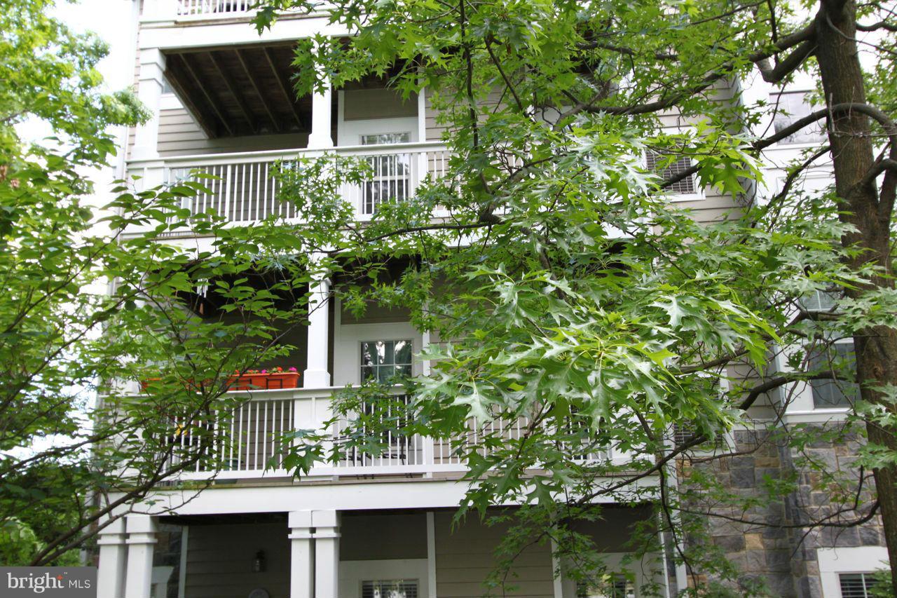 1724 Lake Shore Crest Drive, Unit 23 Reston, VA 20190 - Photo 1 of 12 Exterior (Rear)