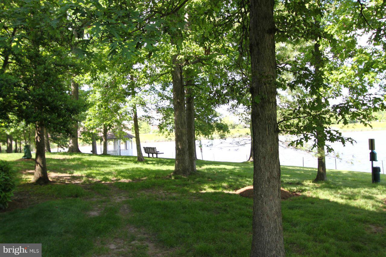 1724 Lake Shore Crest Drive, Unit 23 Reston, VA 20190 - Photo 5 of 12 Community