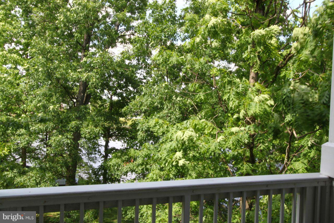 1724 Lake Shore Crest Drive, Unit 23 Reston, VA 20190 - Photo 7 of 12 View