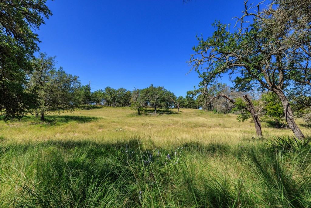 315 Rieger Road Harper, TX 78631 - Photo 25 of 30 a view of a garden