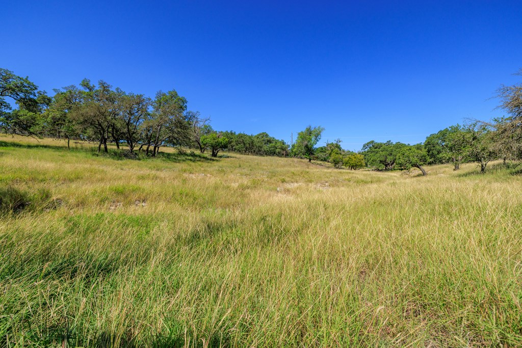 315 Rieger Road Harper, TX 78631 - Photo 26 of 30 a view of lake and mountain