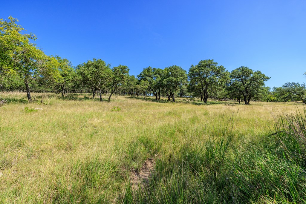 315 Rieger Road Harper, TX 78631 - Photo 27 of 30 a view of a lake view