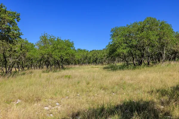 a view of a lake view