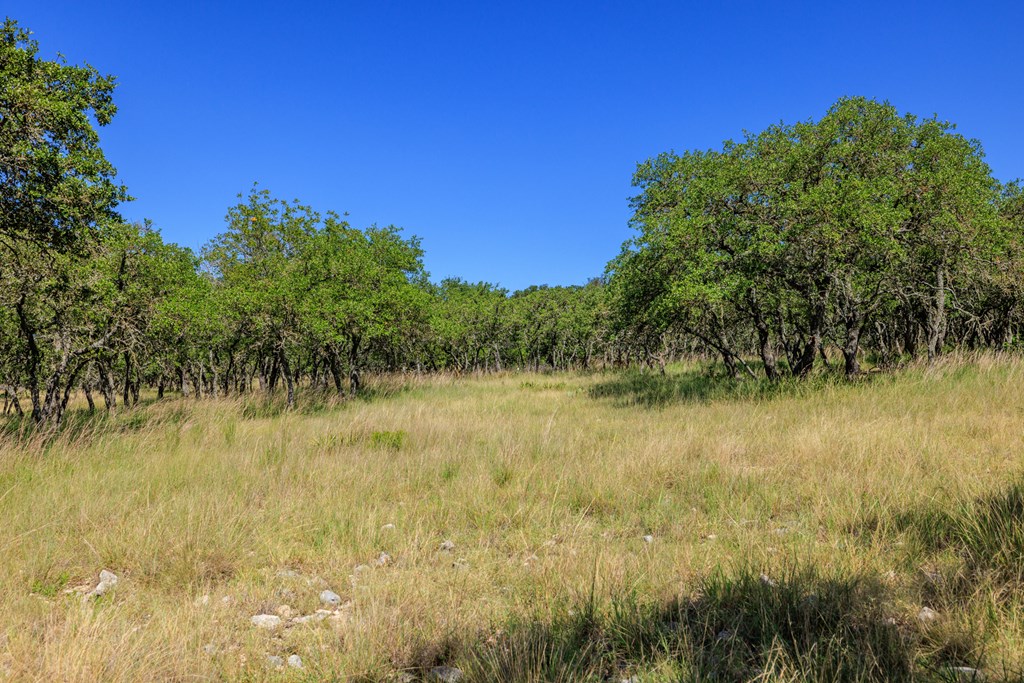 315 Rieger Road Harper, TX 78631 - Photo 28 of 30 a view of a lake view