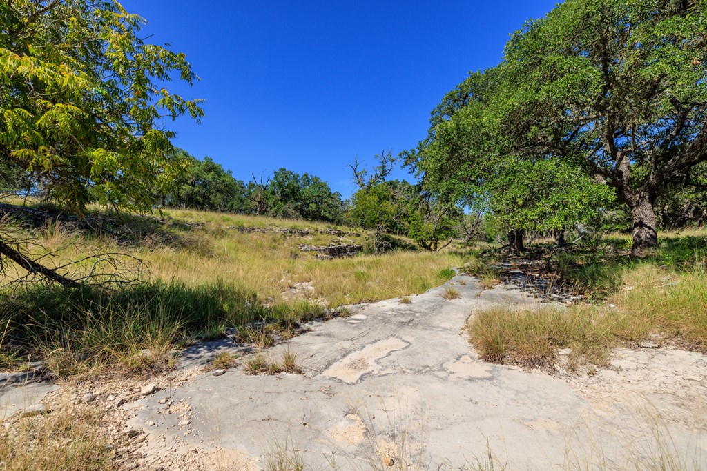 315 Rieger Road Harper, TX 78631 - Photo 30 of 30 a view of lake