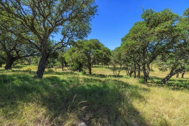 a view of backyard with green space