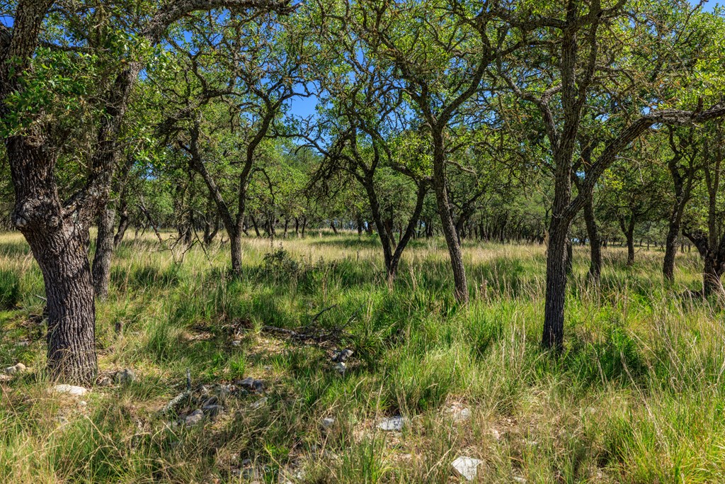 315 Rieger Road Harper, TX 78631 - Photo 6 of 30 a view of lake with green space