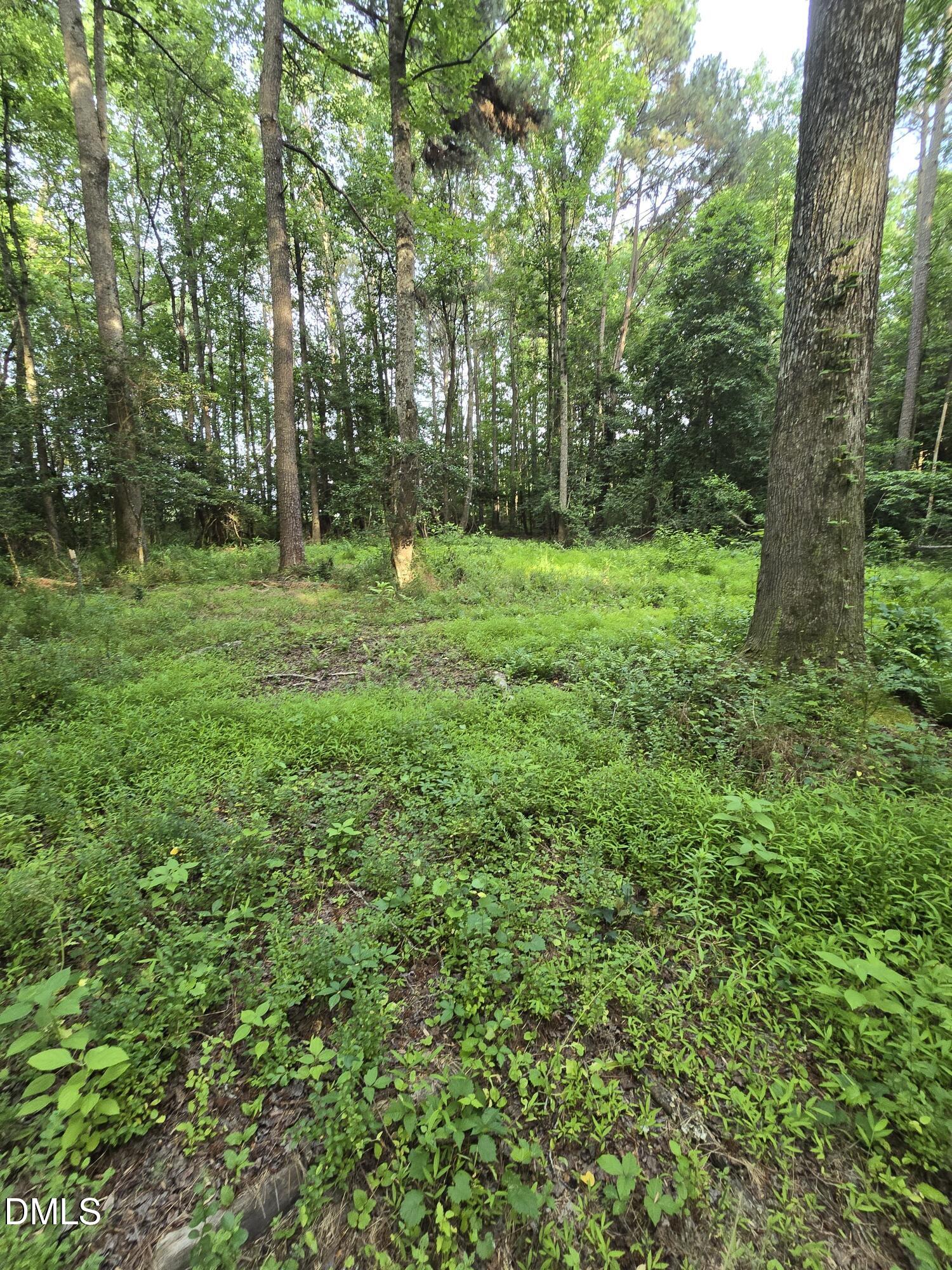 0 Honeycutt Road Willow Spring, NC 27592 - Photo 17 of 18 IMG-20260531-WA0030
