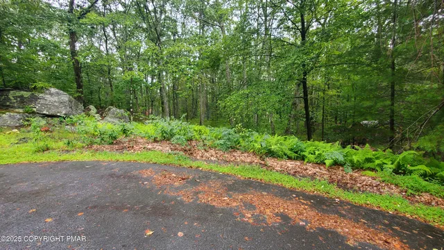 a view of green field