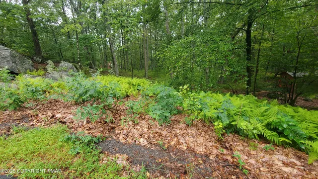 a green field with trees in the background