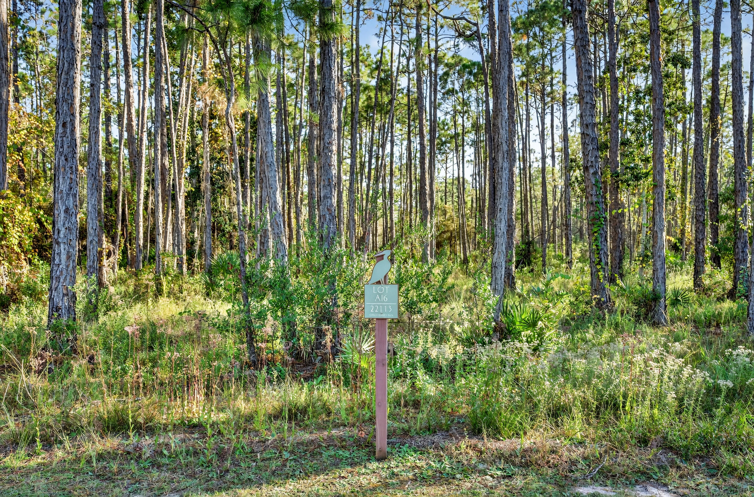 22113 Marsh Rabbit Run Panama City Beach, FL 32413 - Photo 14 of 23 a view of a garden with plants