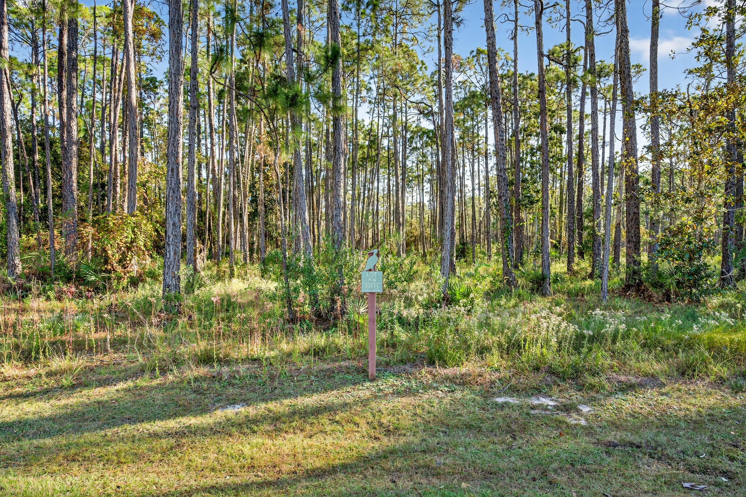 22113 Marsh Rabbit Run Panama City Beach, FL 32413 - Photo 15 of 23 a view of backyard with garden