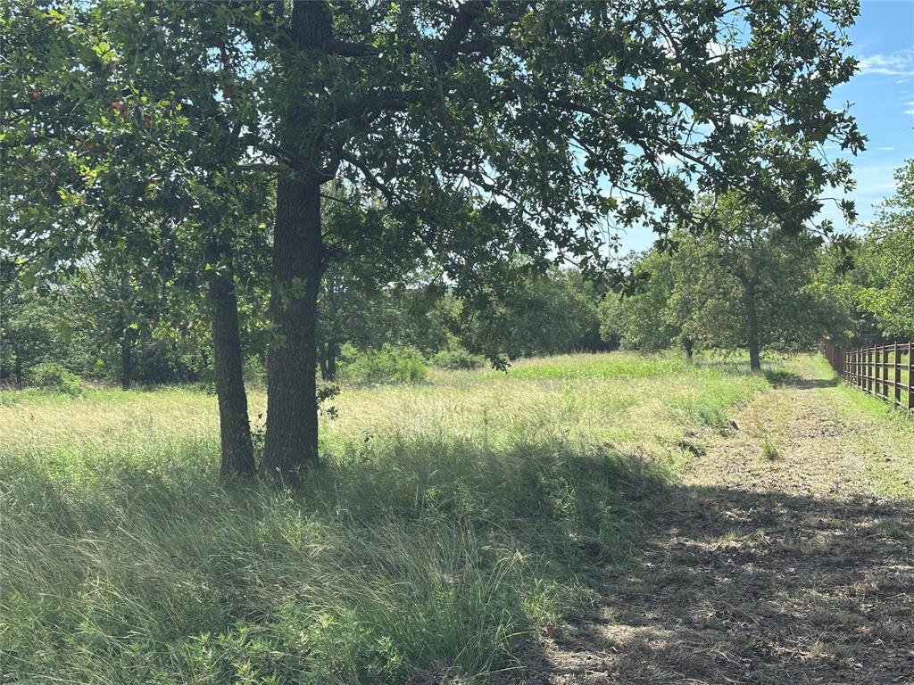 570 Big Salty Lane Springtown, TX 76082 - Photo 5 of 36