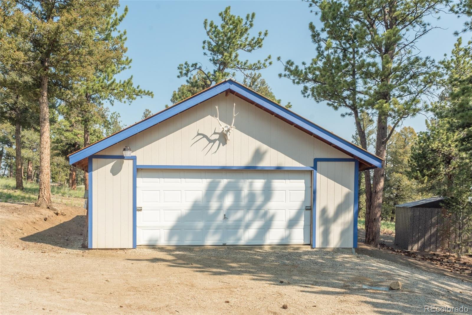 1582 Singletree Road Hartsel, CO 80449 - Photo 5 of 40 Gallery Image 5