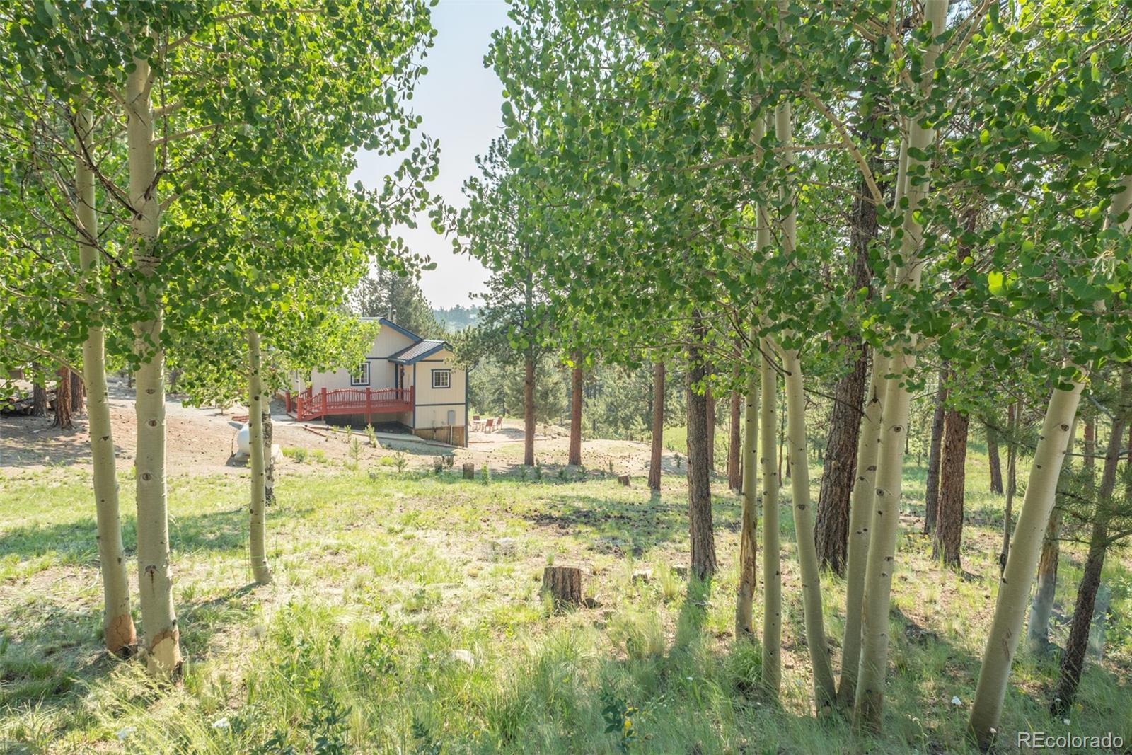 1582 Singletree Road Hartsel, CO 80449 - Photo 6 of 40 Gallery Image 6