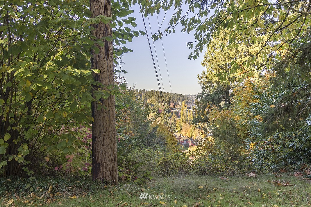 16808 112th Lane Northeast Bothell, WA 98011 - Photo 14 of 19 Gallery Image 14