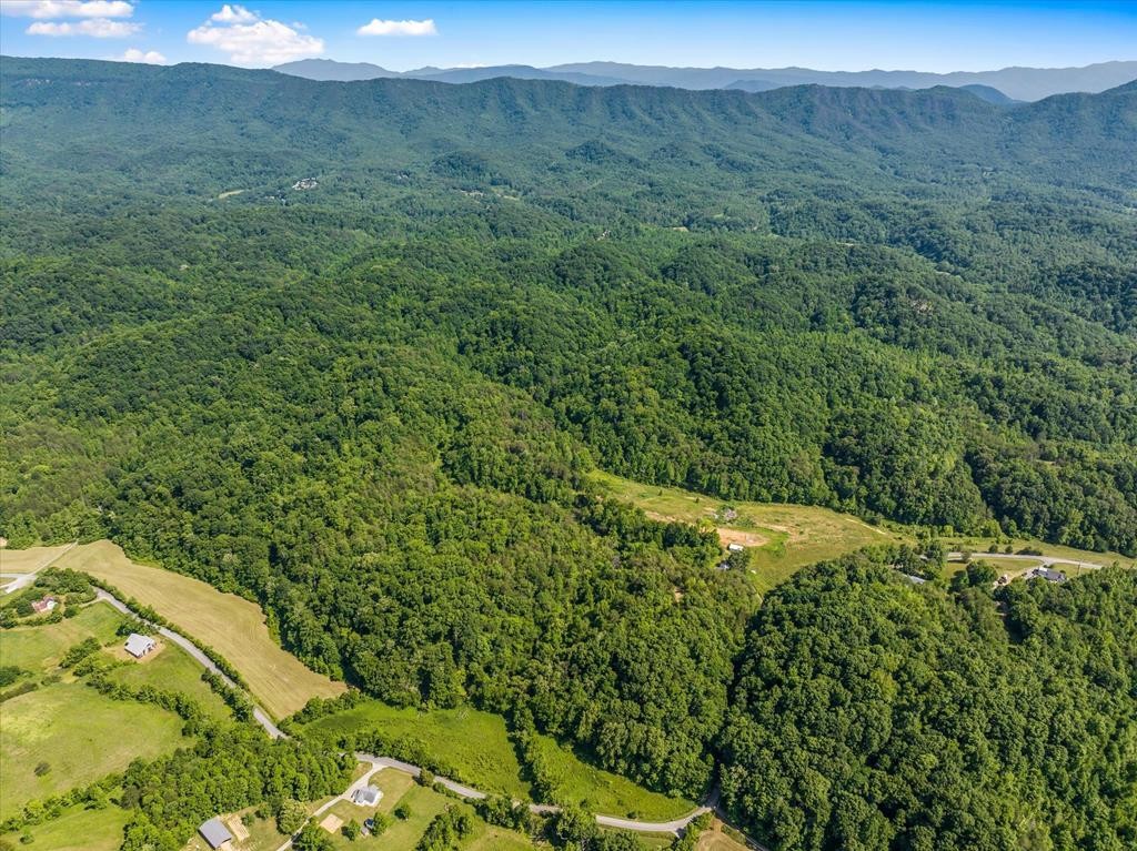 1065 Stanton Road Seymour, TN 37865 - Photo 52 of 61