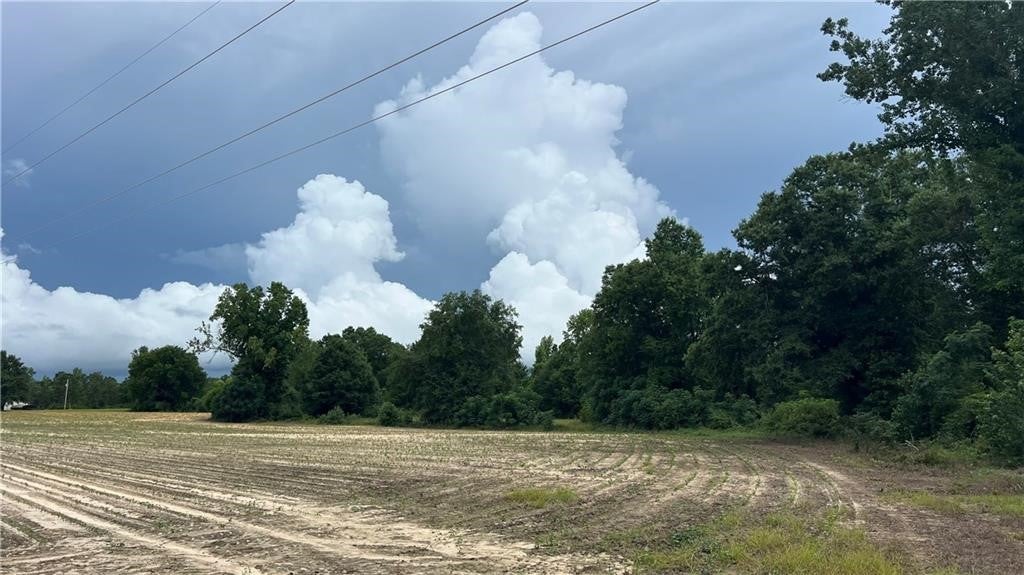 0 Sweetwater Branch Road Fort Mitchell, AL 36856 - Photo 10 of 20 Gallery Image 10