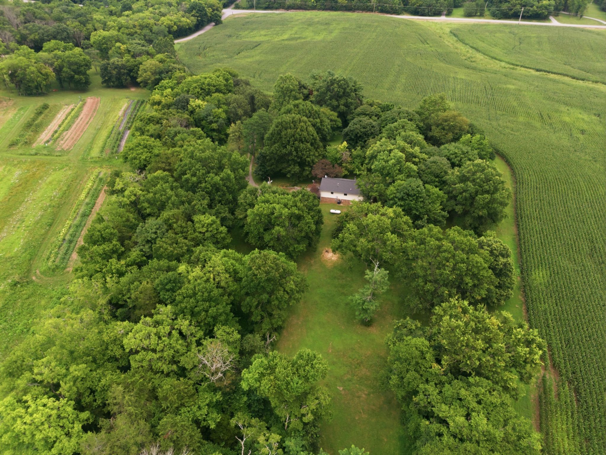 145 Crenshaw Road Bethpage, TN 37022 - Photo 29 of 34 a view of a green yard
